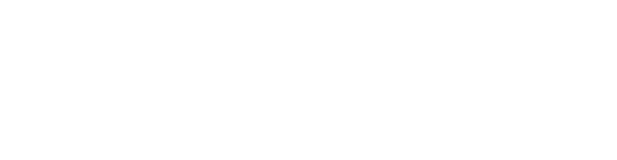 logo Focus Bari EN invert